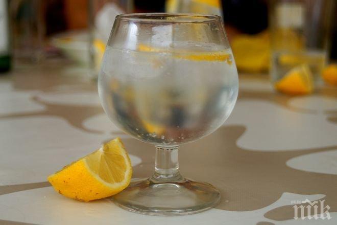 Британски учен определи идеалните пропорции за джин с тоник