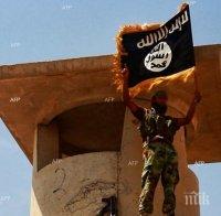 Пакистанските талибани подкрепиха „Ислямска държава”