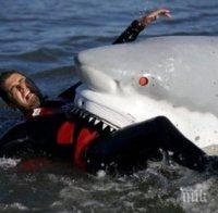 Акула уби летовник на оживен плаж в Нова Каледония