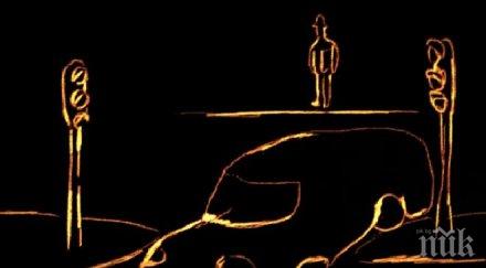 родна анимация награда холивуд