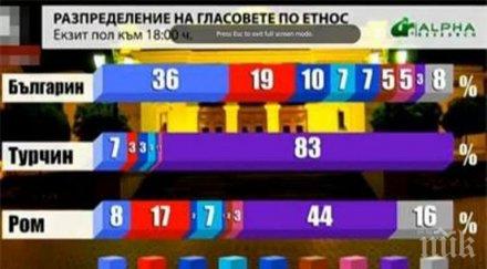 алфа рисърч ромите турците подкрепили дпс