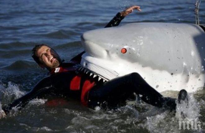 Ужас! Сърфист загуби ръцете си след нападениe на бяла акула