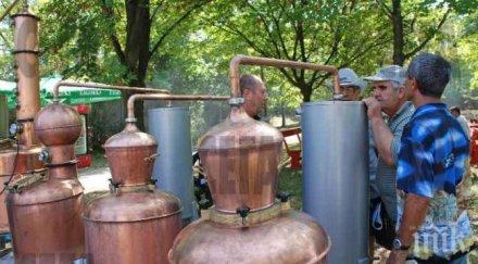 спипаха тон половина ракия менте катуница