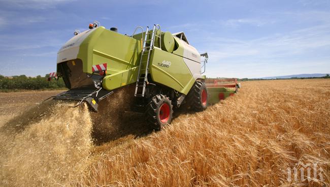 Крупна измама: Възрастна жена продала земите си, без да знае