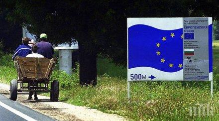 половината европари медии склад