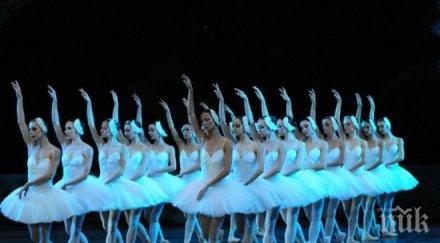 пепеляшка отново качва софийска сцена отсъствие