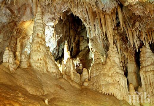 Затварят пещерата Леденика за ден 