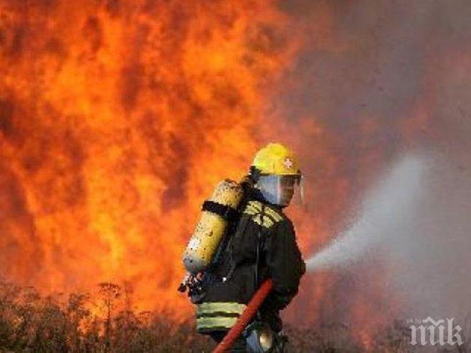 Пожар изпепели 5 коли край Пловдив