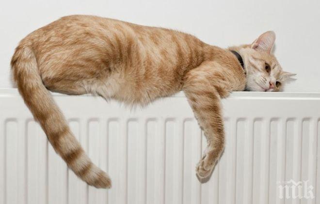 Пускат парното в София до края на октомври