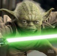 Нагли крадци свиха паметник на Йода