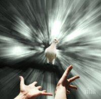 Как реагират зодиите при среща със смъртта?