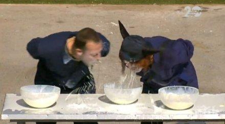 нечувана гадост вип брадър съквартирантите пият мляко пълно кравешки очи снимки