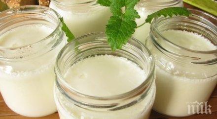 българинът забрави киселото мляко