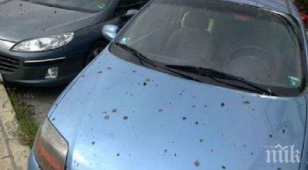 бургазлии пропищяха птичи изпражнения съсипаха колите