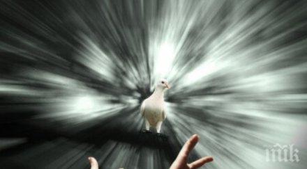 реагират зодиите среща смъртта