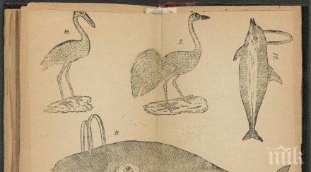 откриха два екземпляра рибния буквар