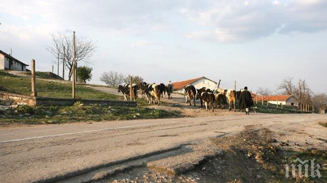 Ибрям Ахмедов от ДПС спечели вота за кмет на село Руец