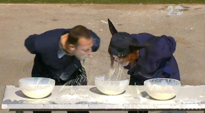 Нечувана гадост във ВИП Брадър! Съквартирантите пият мляко, пълно с кравешки очи! (снимки)