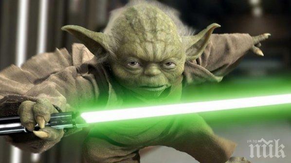 Нагли крадци свиха паметник на Йода