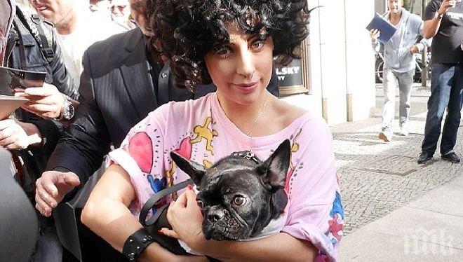 Лейди Гага лъсна само по тениска в Берлин (снимки)
