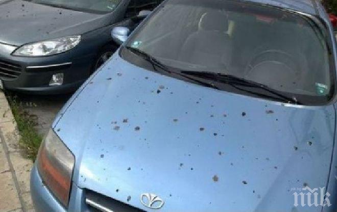 Бургазлии пропищяха: Птичи изпражнения съсипаха колите ни