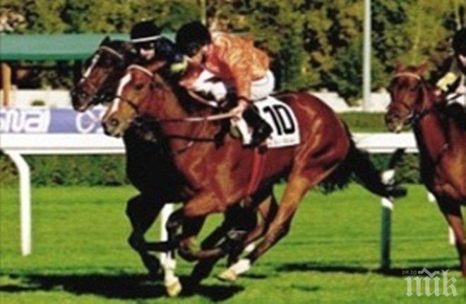 Огромен успех за Гриша Ганчев, жребецът му спечели престижна награда
