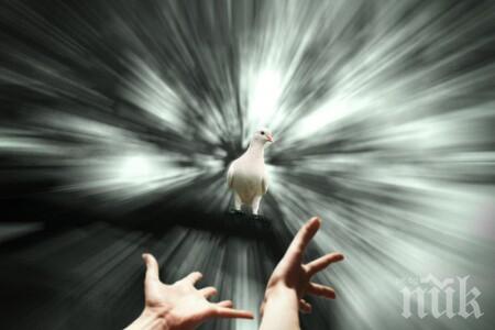 Как реагират зодиите при среща със смъртта?