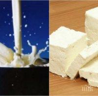 Внимание! Учен твърди: Млякото и сиренето причиняват рак на гърдата при жените и на простатата при мъжете