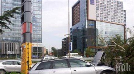 ауди размаза дръвче центъра софия видео