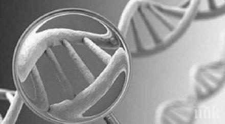 250 000 българи сбъркани гени