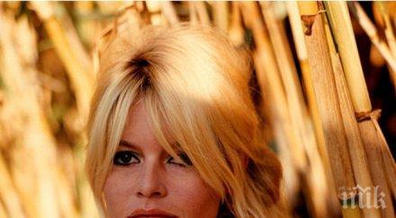 съблазнителка брижит бардо имала 100 любовници включително жени