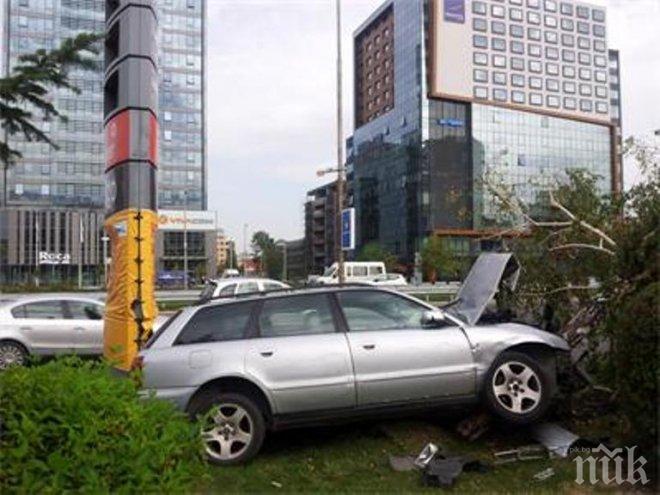 Ауди се размаза в дръвче в центъра на София (видео)