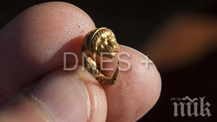 Удар в архелогията: Разкриха богато погребение край Свещари