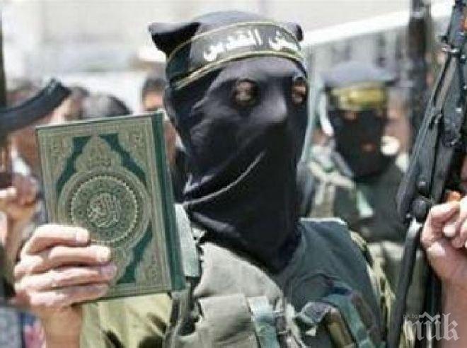 Италианци ползват летището в Тирана, за да стигнат до Сирия и да се бият на страната на джихадистите