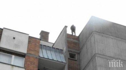 българи опит самоубийство всеки ден