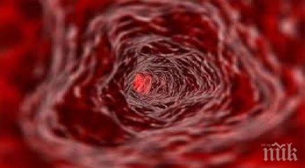 уникално експериментална терапия постига продължителна ремисия левкемия
