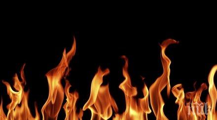 путин разчита разреши въпроса използването мощностите газопровода опал