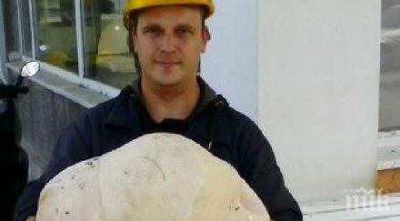 гигантска гъба поникна нас чупи рекорд гинес снимка