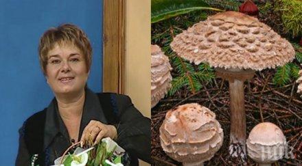 известна водеща актриса натрови гъби спасиха болница