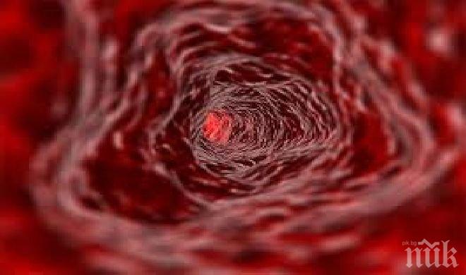 Уникално! Експериментална терапия постига продължителна ремисия при левкемия