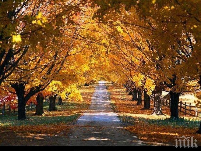 Синоптици от БАН пред ПИК и Ретро: Студ през уикенда, циганското лято се връща в понеделник