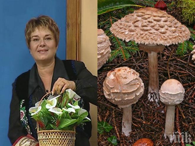 Известна водеща и актриса се натрови с гъби, едва я спасиха в болница
