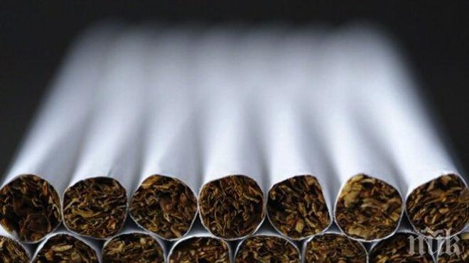 Цената на кутия руски цигари може да стане 216 рубли