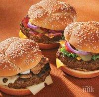 Учени: Сандвичите и чипсът са по-вредни за мъжкия мозък, отколкото за женския