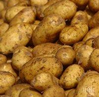 Стопете излишните килограми за 4 дни с... картофи! Ето как