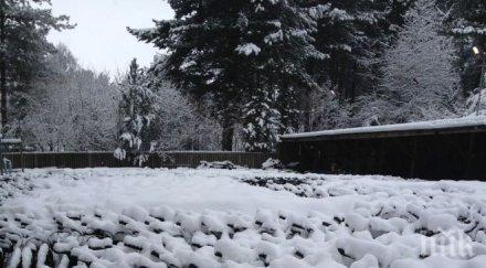 пълен шок сняг падна югоизточна турция