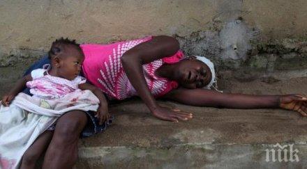 специалисти африканците спрат ядат месо диви животни избегнат еболата