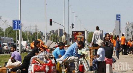 спипаха нелегални емигранти гкпп дунав мост