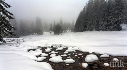 бурен вятър сняг брулят сърбия сряда