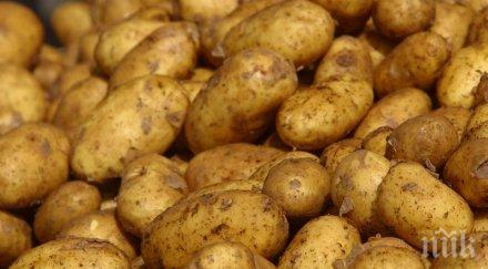 стопете излишните килограми дни картофи